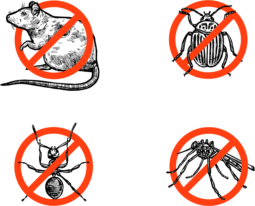 rágcsálóirtás és rovarirtás Hajdú-Bihar megyében